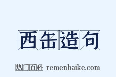 西缶造句是什么意思的图片